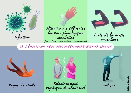 Visuel qui représente les conséquences de la dénutrition