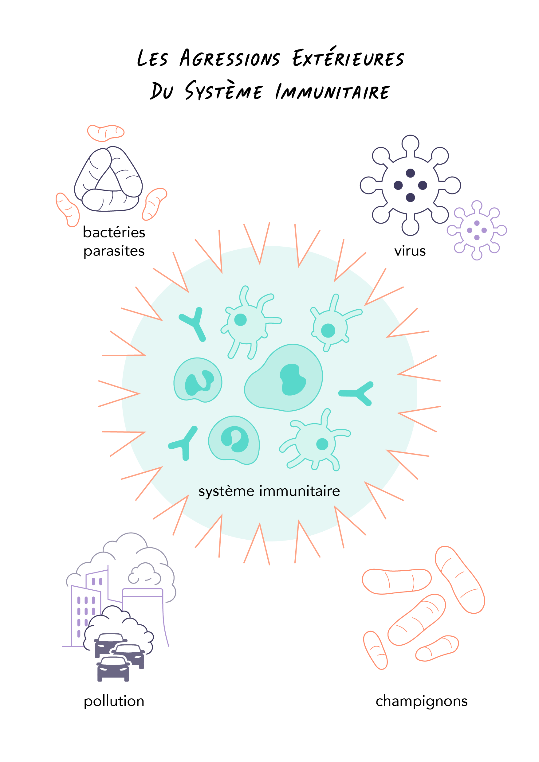 Schéma illustrant les agressions extérieures susceptibles d'avoir un impact sur le système immunitaire - © Pierre Bourcier