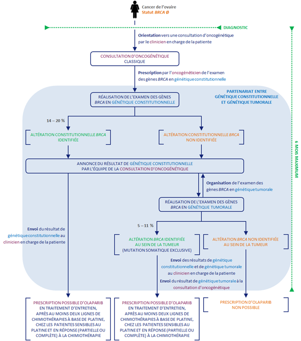 Schéma Parcours des patientes en génétique oncologique au moment du diagnostic